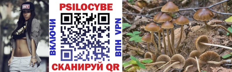 Купить закладки  Гатчина  Галлюциногенные грибы ЛСД 